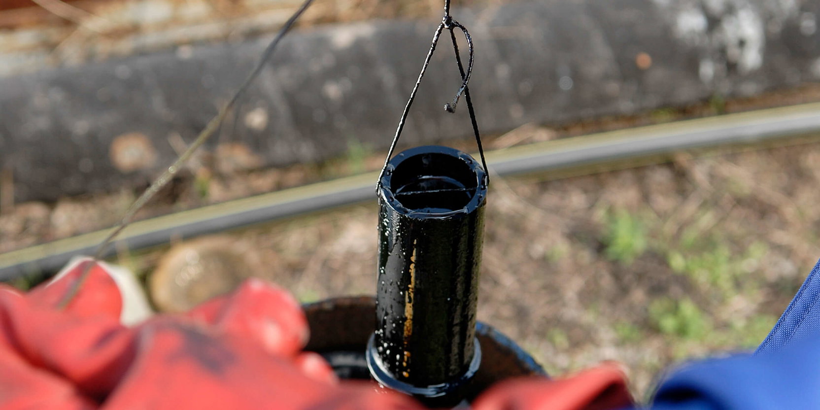  _dsc7987.jpg