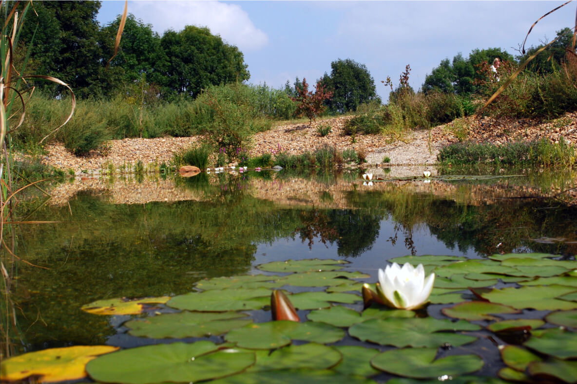 Artificially created pond