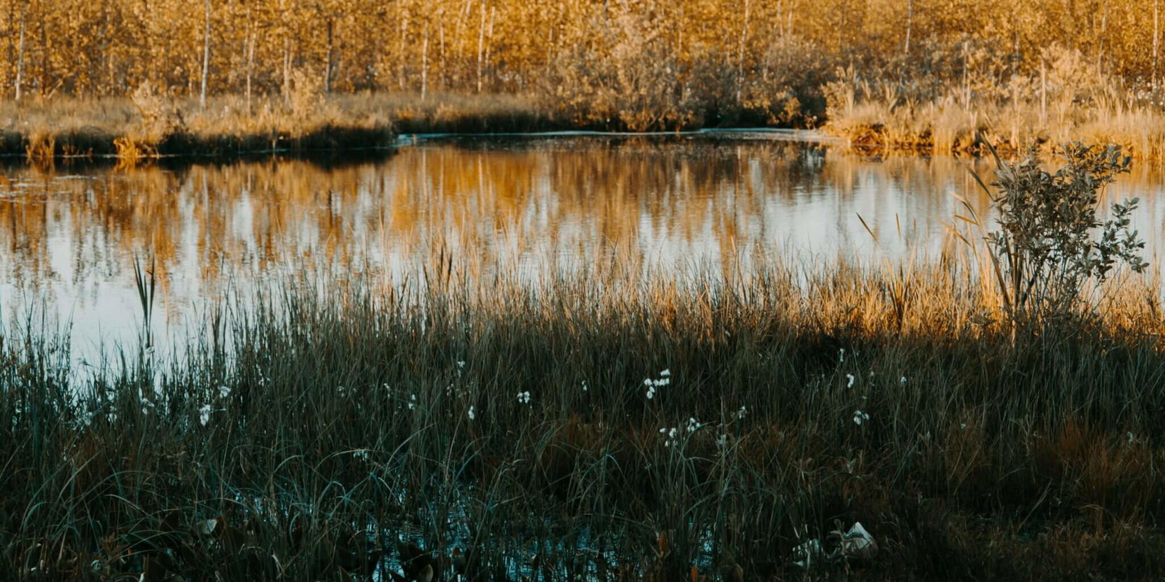  pexels-iriser-1334142-2048x1365-1.jpg